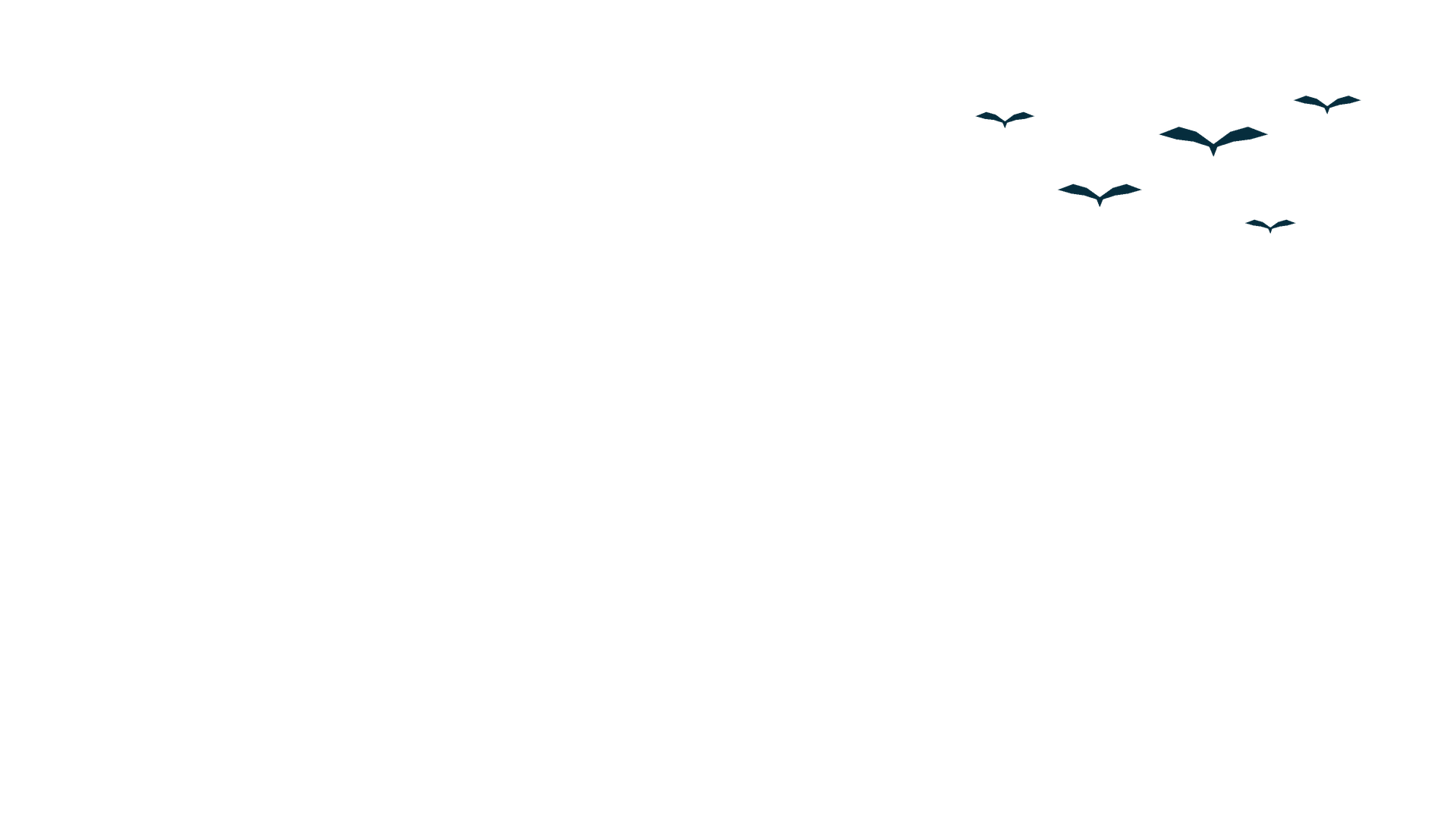 bird2
